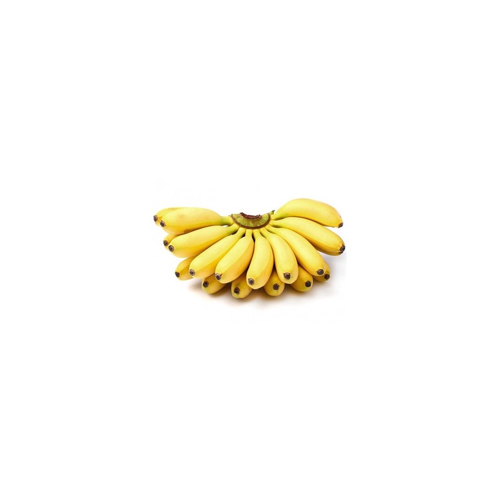 Small Apple Bananas - Cluster Small Apple Bananas - Cluster