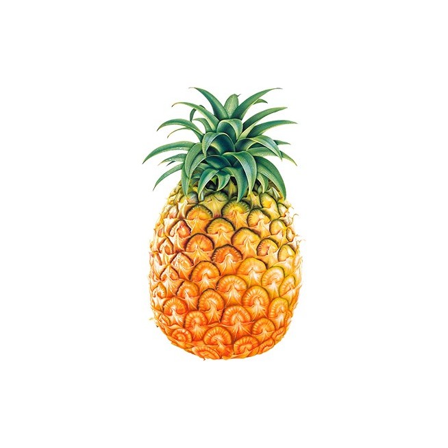 Pineapple (1 pc)