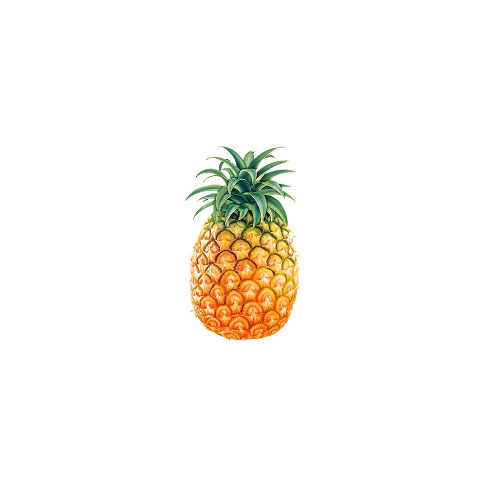 Pineapple (1 pc) Pineapple (1 pc)