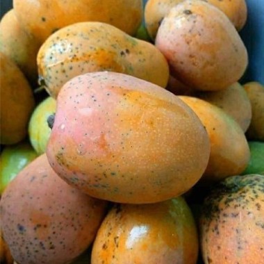 Local Mangoes (1kg)