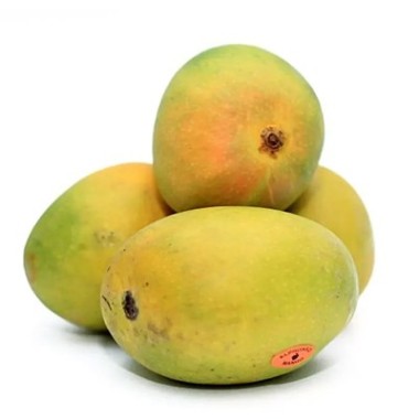 Alphonso Mango (1kg)