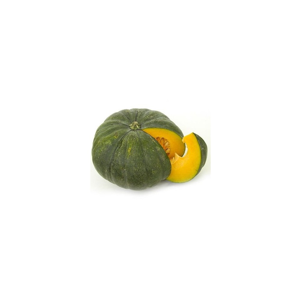 Pumpkin (1 pc) Pumpkin (1 pc)