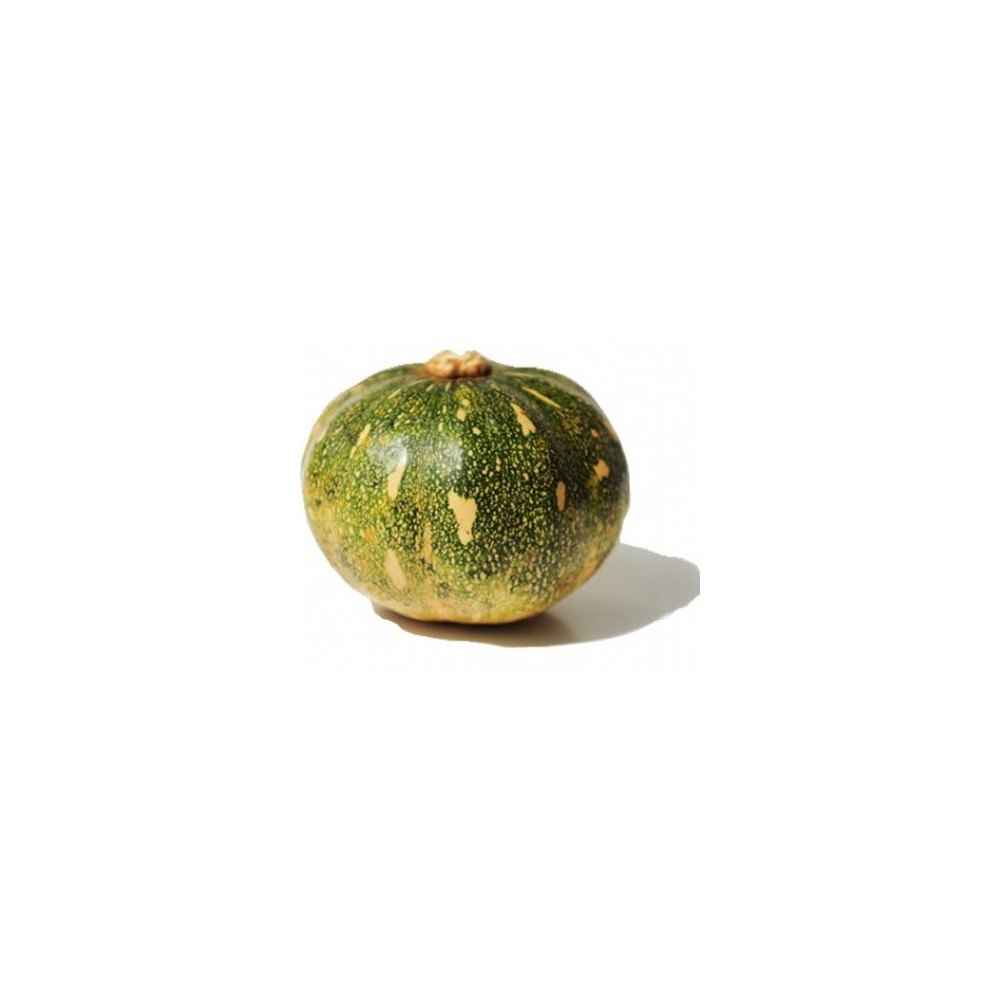 Local Pumpkin (Nsujjuu) (1 pc) Local Pumpkin (Nsujjuu) (1 pc)