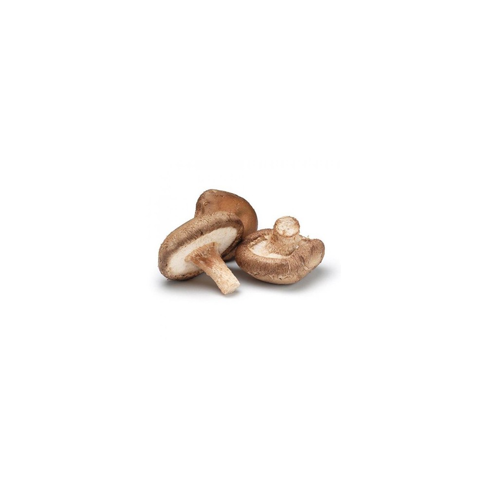 Shiitake Mushroom (1kg) Shiitake Mushroom (1kg)