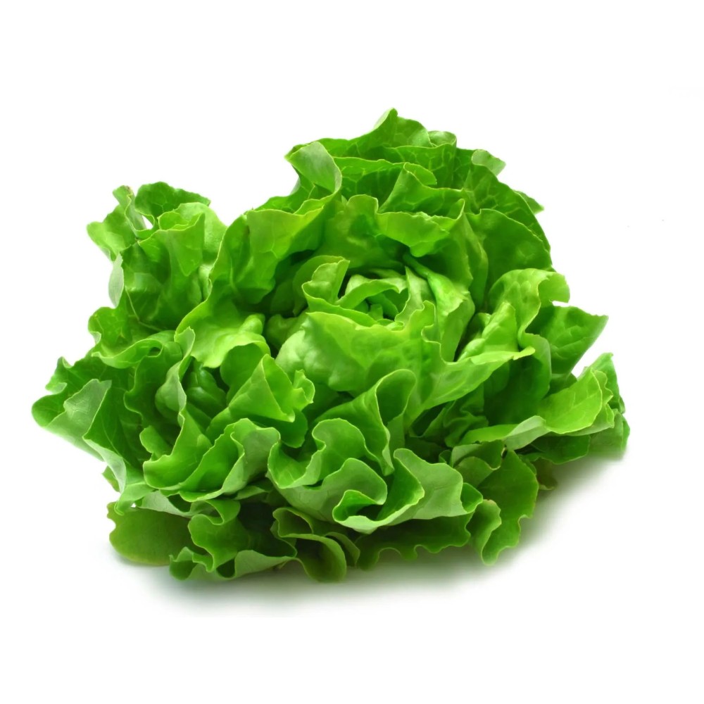 Lettuces