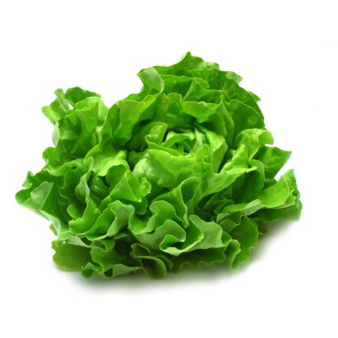Lettuces