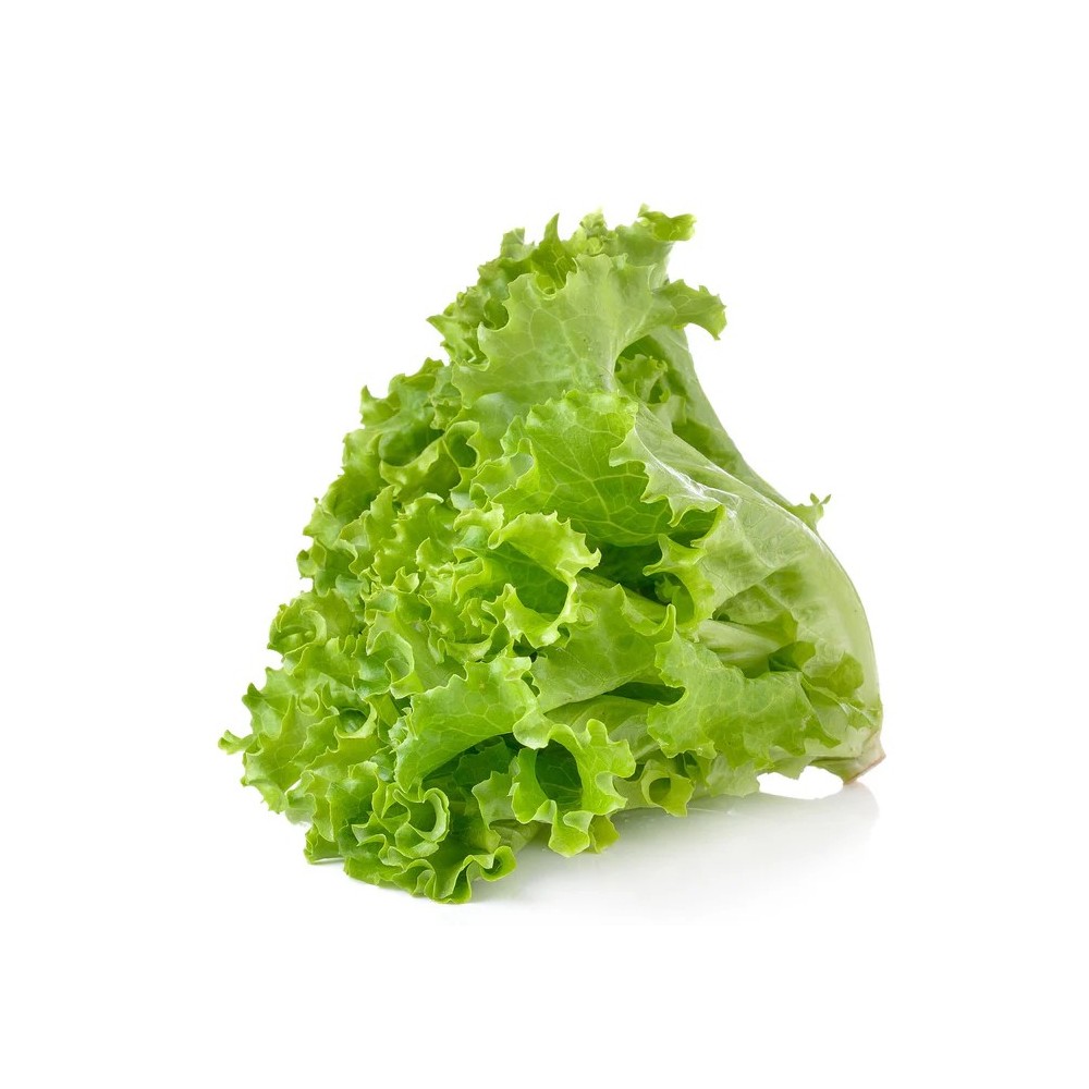 Lettuces