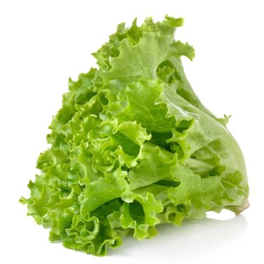 Lettuces