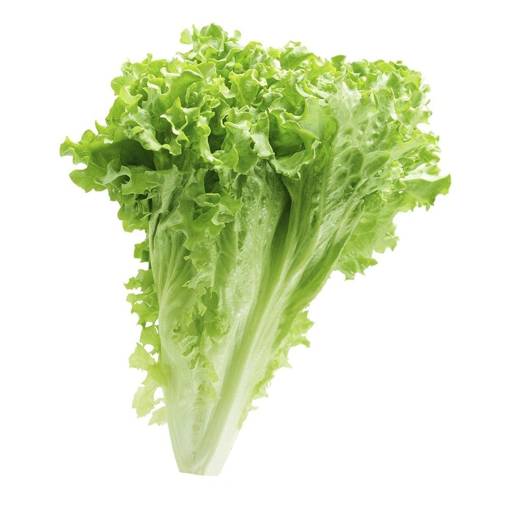 Lettuces