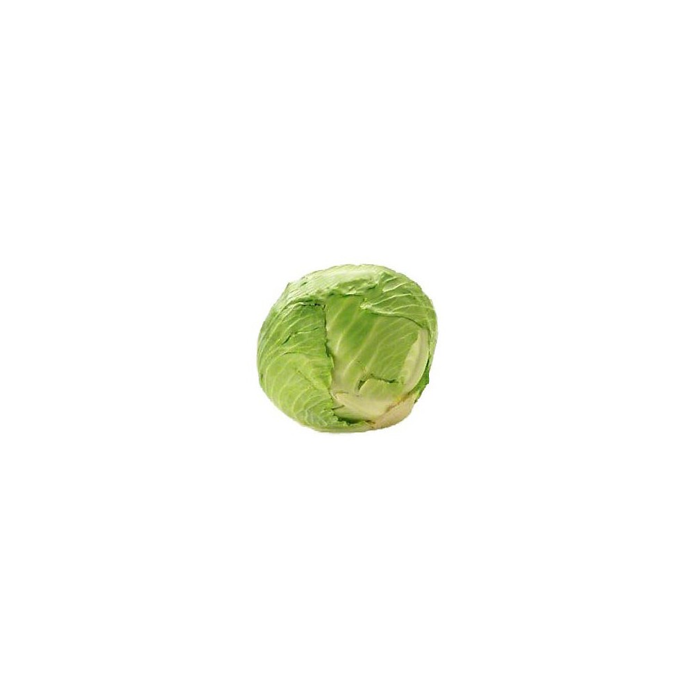 Fresh Green Cabbage (1pc) Fresh Green Cabbage (1pc)